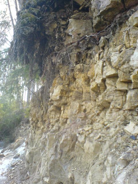 Река Мста 2008-04. Палеонтология.